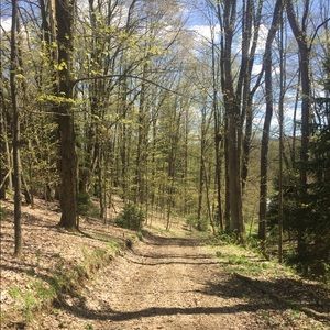 Meet your Posher, Bob